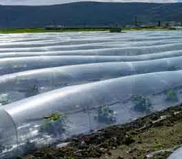 Application de stabilisateurs de polymère dans l'agriculture